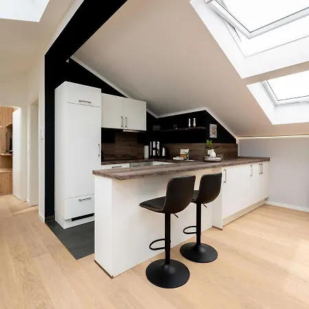 Quartier Frohsinn Appartement 09B 塞巴特黑灵斯多夫